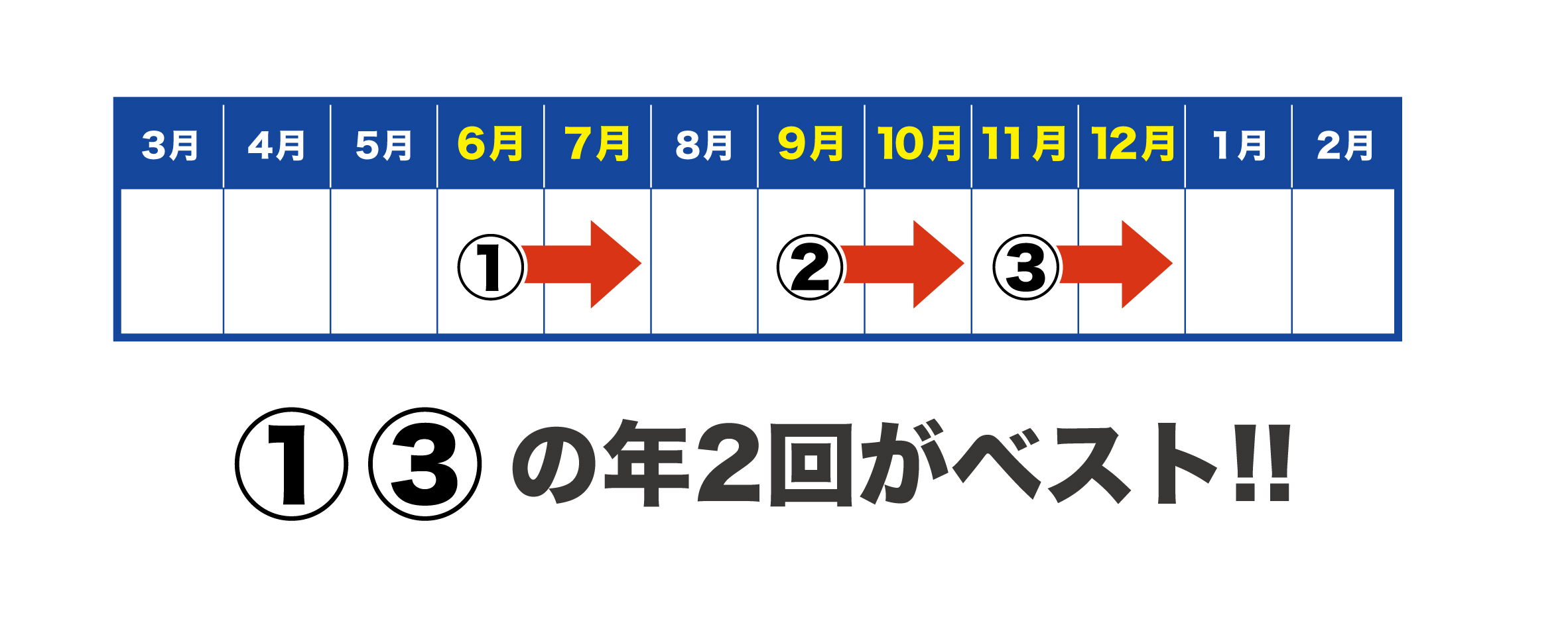 草刈りは年に2回がおすすめ